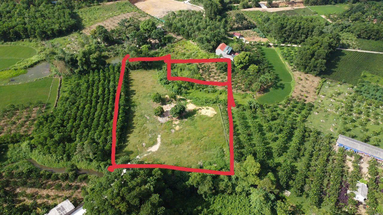 Đất thổ cư Ngọc Thanh, Phúc Yên 2858m² giá 9 tỷ - Đầu tư sinh lời hấp dẫn!