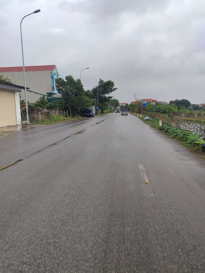 Đất Kinh Doanh Trục Chính TL281 Gia Bình 50m² Giá 1.9 tỷ - Cơ Hội Đầu Tư Hiếm Có!