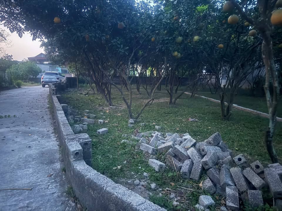 Đất nền Đại Đồng 1, Danh Thắng 146.8m² giá chỉ 800 triệu - Đầu tư sinh lời ngay!