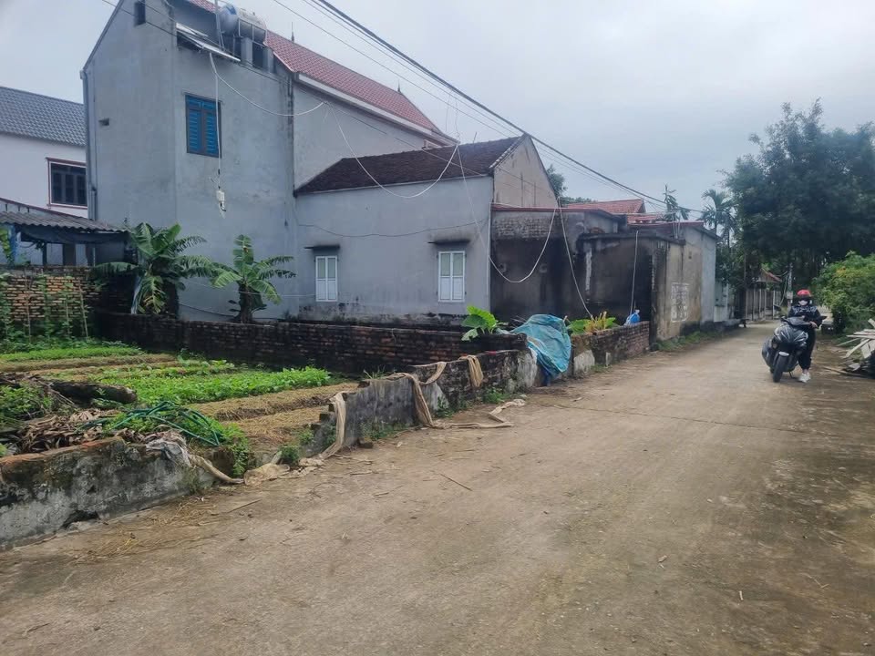 Đất thổ cư Mai Trung, Hiệp Hòa 158m² giá 1 tỷ - Mặt tiền 10m, tách lô dễ dàng!