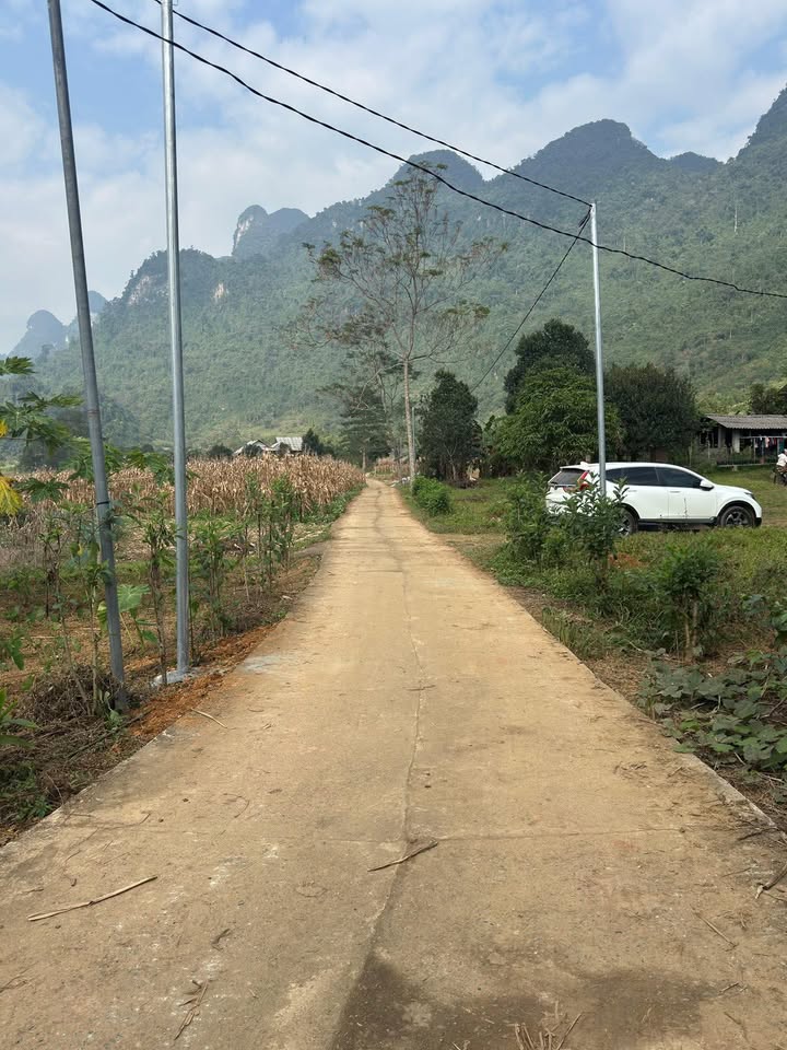 Đất nền Phong Quang, Vị Xuyên 3000m² giá chỉ 500 triệu - Cơ hội đầu tư tuyệt vời!