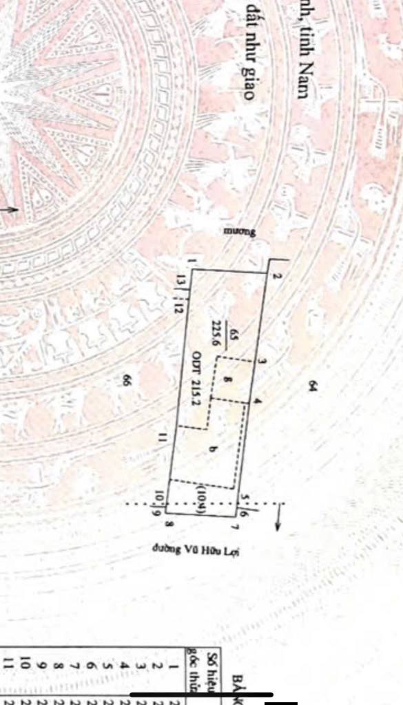 Đất mặt đường Vũ Hữu Lợi, Nam Định 215m² giá 8.177 tỷ - Chia lô tiện ích, hướng Đông!