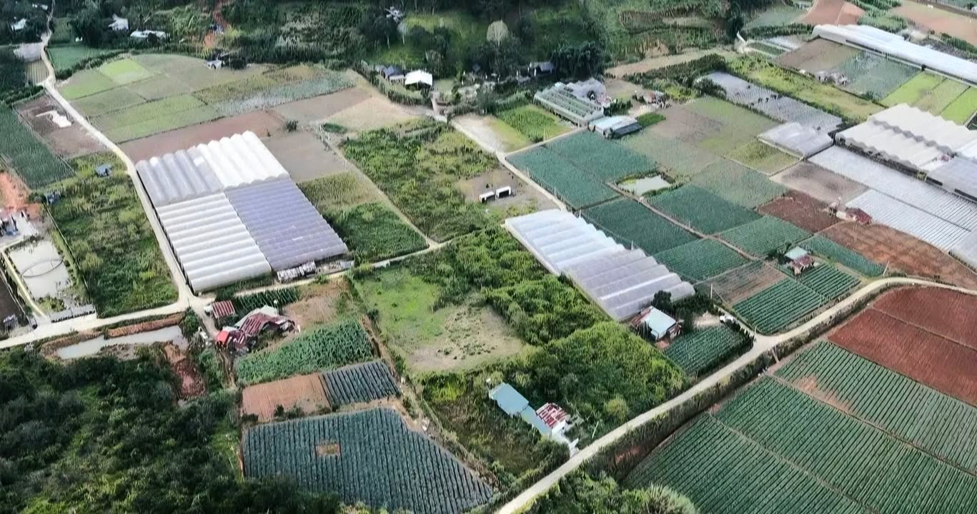 Đất nền đường Mimosa, phường 10, Đà Lạt 1400m² - Vị trí đắc địa gần quán cà phê nổi tiếng