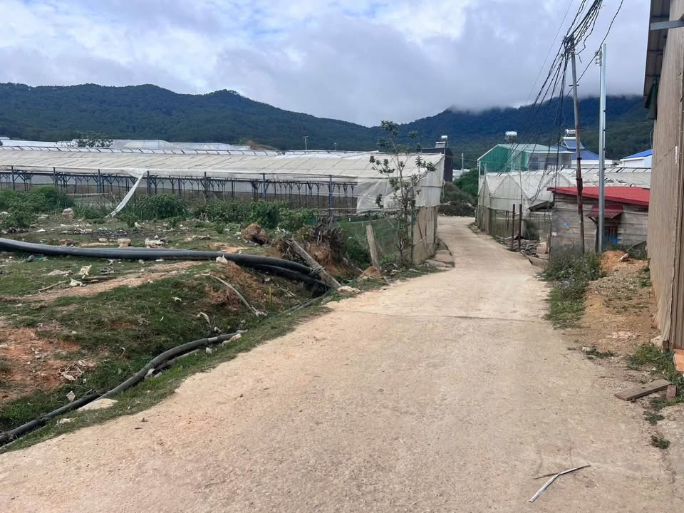 Đất sổ riêng phường Lang Biang Đà Lạt 104m² giá 2,15 tỷ - Đường bê tông ô tô vào tận nơi!