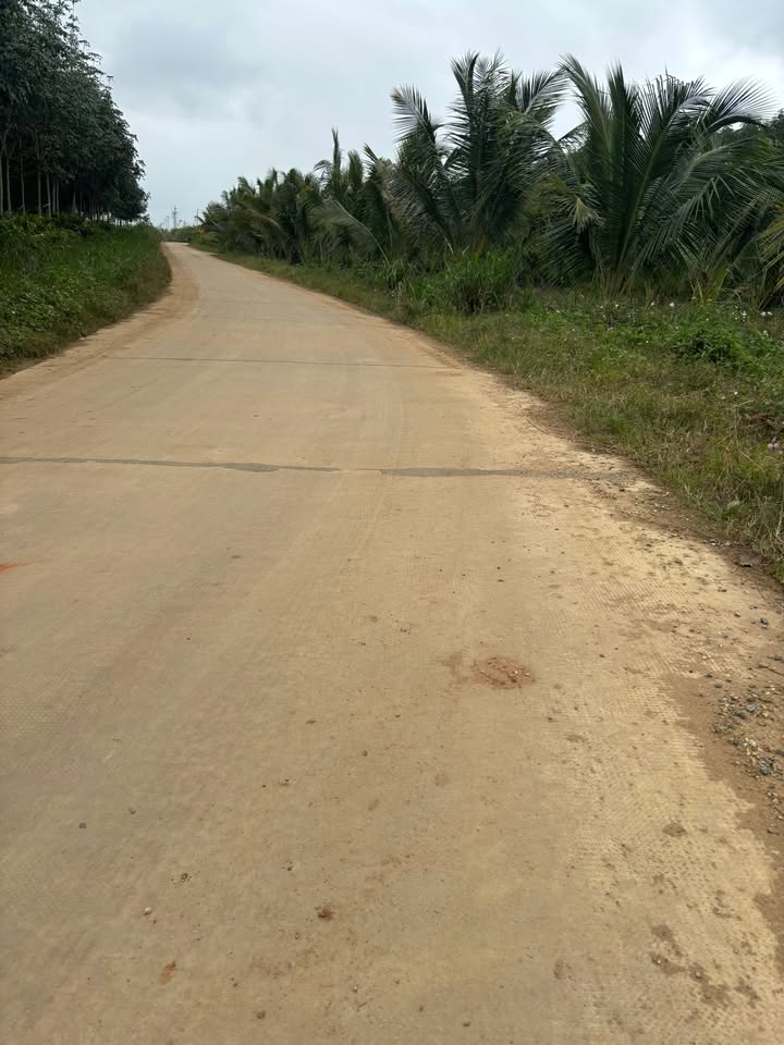 Đất thổ cư 3 sào tại Ea Păl, 10800m² - Giá rẻ, thuận lợi đầu tư!