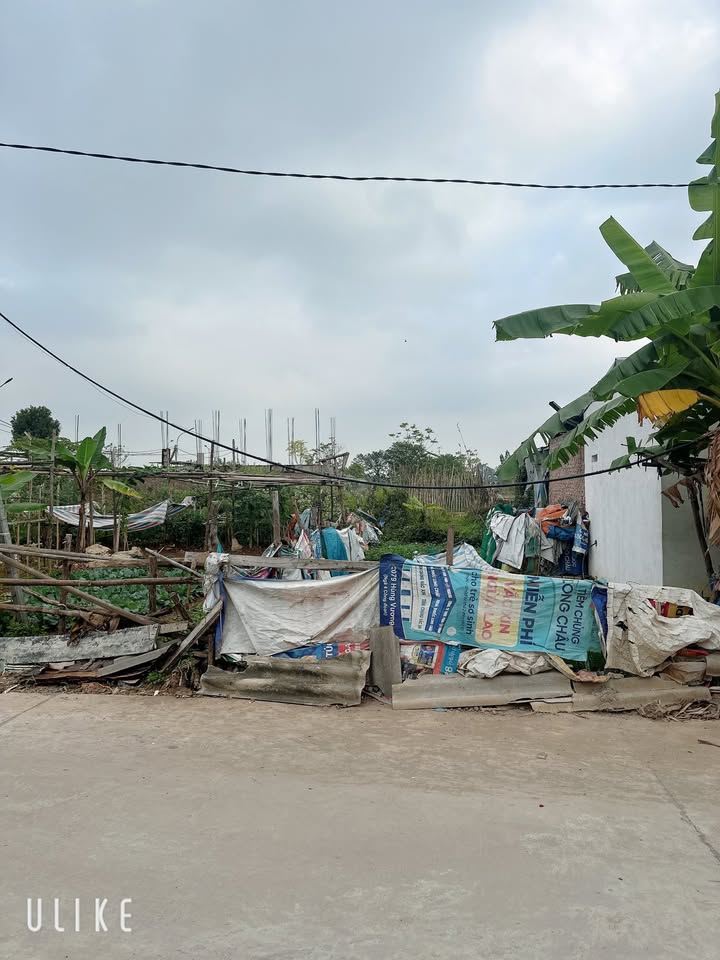 Bán đất khu quy hoạch Đồng Vũ, Thanh Miếu, Việt Trì 87.5m² - Cơ hội đầu tư vàng!