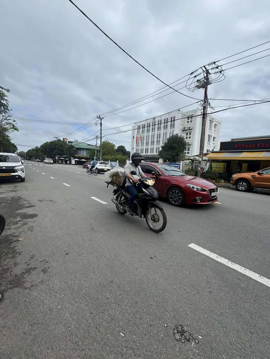 Nhà 2 tầng mặt tiền 15.5m tại Cẩm Lệ 146.7m² giá 12.78 tỷ - Kinh doanh đỉnh cao!