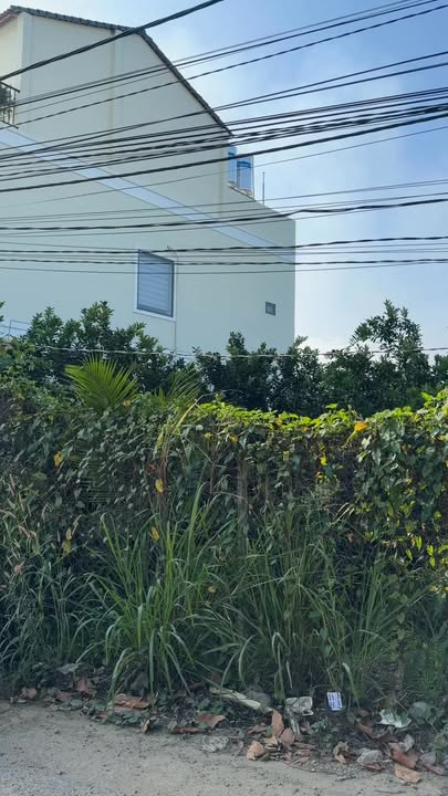 Đất nền Tân Bình Biên Hòa 80m² giá thỏa thuận - Cơ hội đầu tư sinh lời!