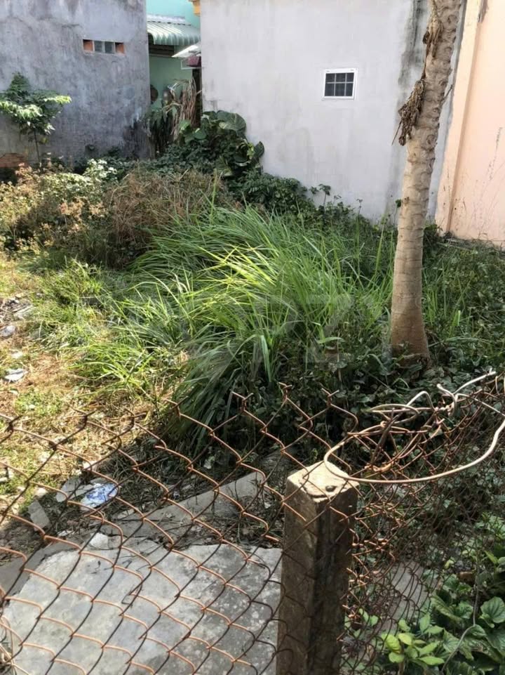 Đất nền Bình Chánh 53m² giá 1.39 tỷ - Sổ hồng chính chủ, xây dựng tự do!