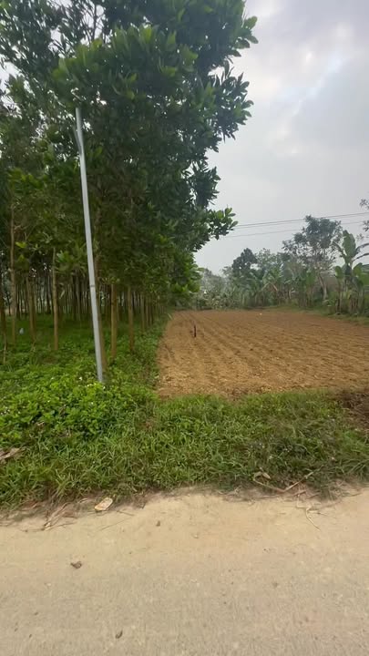 Đất nền Hương Sơn 300m² - Vị trí đắc địa bên cổng chào Thôn 4!