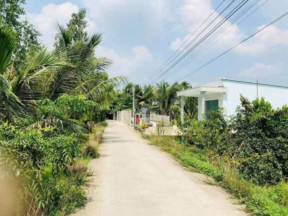 Đất nền Ô Môn Cần Thơ 350m² giá 899 triệu - Gần sông, sổ đỏ chính chủ!