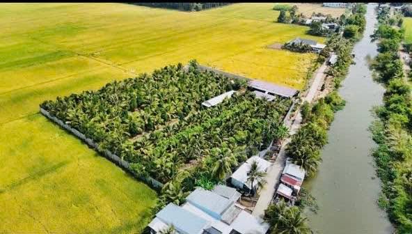 Bán nhà vườn Mỹ Lâm Hòn Đất 6278m² giá 6.5 tỷ - Sẵn sàng khai thác ngay!