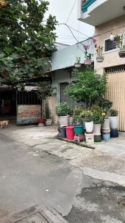 Nhà riêng Gò Vấp 68m² giá 5.99 tỷ - Hẻm xe tải 8m, gần ngã 4 Thống Nhất!