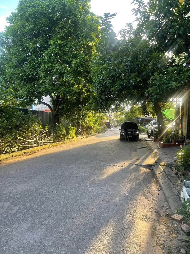 Đất dự án nhà ở Dabaco Huyền Quang, P. Võ Cường, Bắc Ninh 82.5m² - Đầu tư sinh lời ngay!