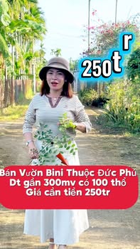 Đất nền Đức Phú Mộ Đức 300m² giá 250 triệu - Cơ hội đầu tư hấp dẫn!