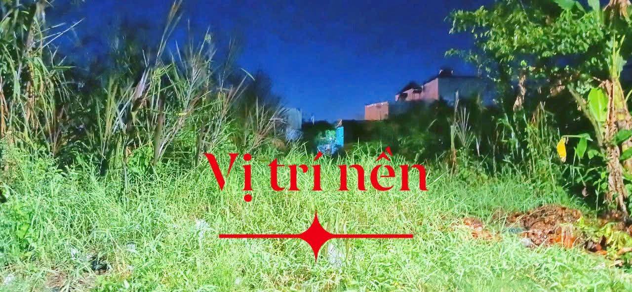 Đất nền Cà Mau 268m² giá 2.85 tỷ - Vị trí đắc địa, bớt lộc cho khách thiện chí!