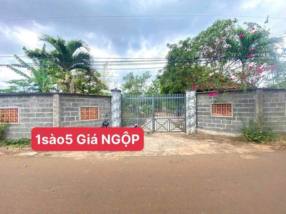 Đất thổ cư 5000m² tại Long Phước, Bà Rịa - Giá tốt, không thể bỏ lỡ!