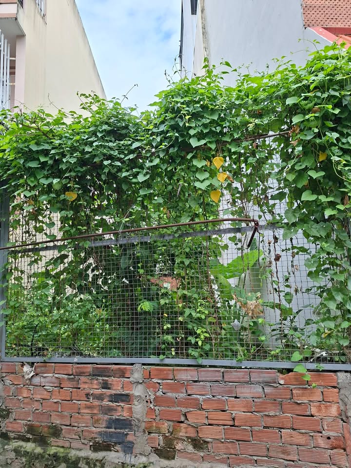 Đất nền quận 2 - Lê Văn Thịnh, 74m² giá 6 tỷ - Vị trí thuận lợi, pháp lý rõ ràng!