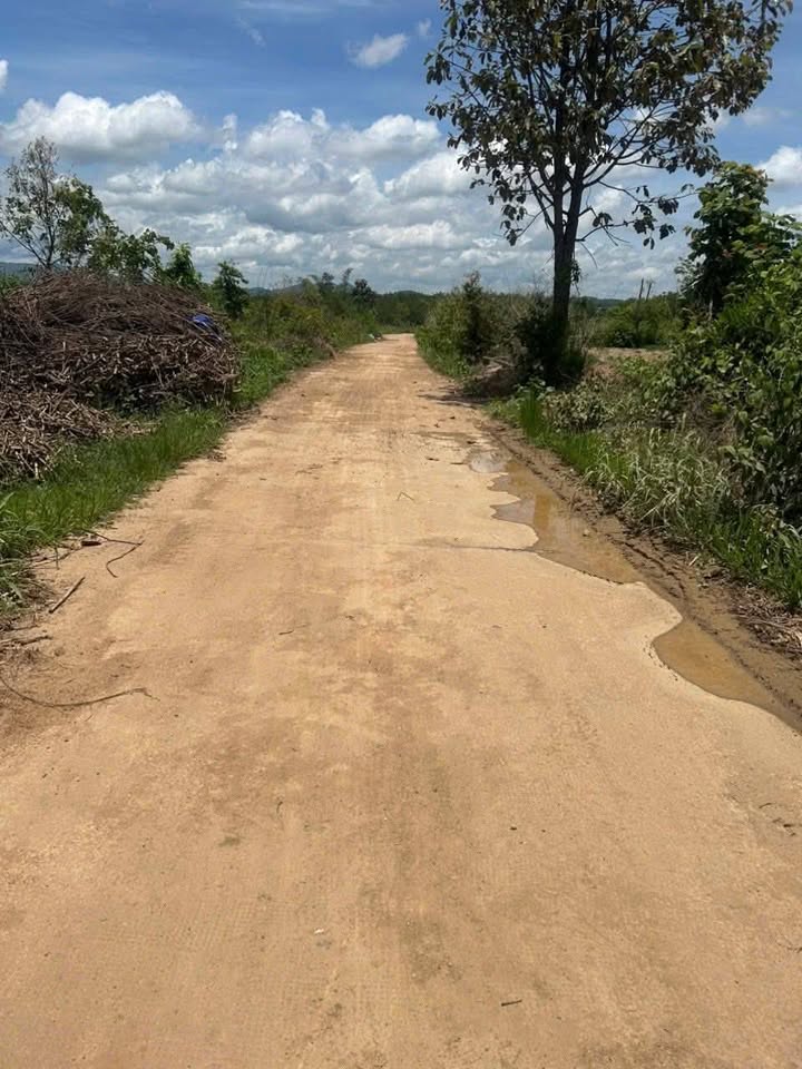 Đất thổ cư Thôn 5 Đoàn Kết Kon Tum 4320m² chỉ 200 triệu - Cơ hội đầu tư tuyệt vời!