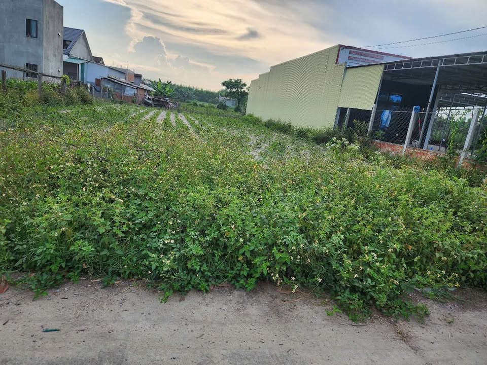 Đất Tịnh Phong Sơn Tịnh 180m² giá thỏa thuận - Đầu tư sinh lời ngay!