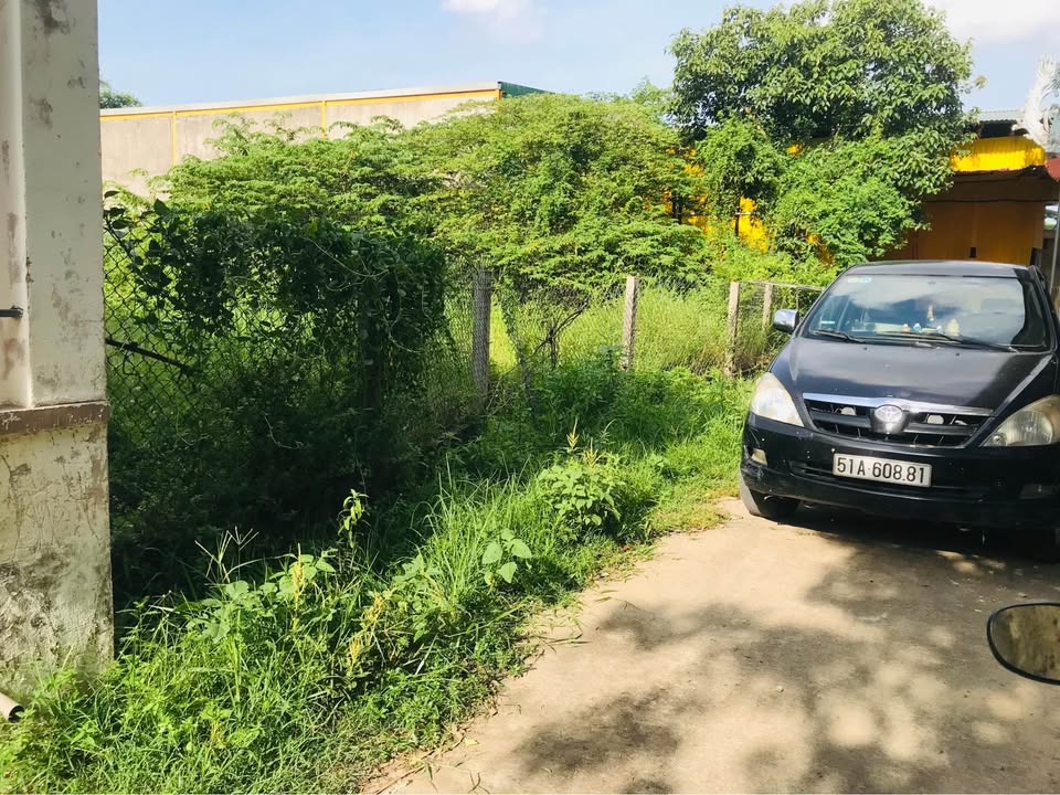 Đất vườn 850m² Nghĩa Dõng giá 1,8 tỷ - Không gian yên tĩnh lý tưởng!