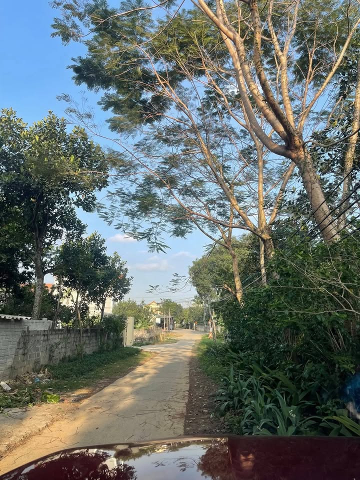 Đất nền Văn Phú Ninh Bình 312m² giá thỏa thuận - Tiềm năng đầu tư sinh lời