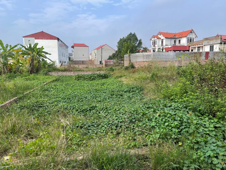 Đất thổ cư 94,4m² tại Mai Đình, Sóc Sơn - Tiềm năng đầu tư cao!