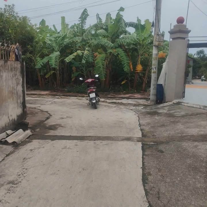 Đất Hồng Lạc - Thanh Hà 539m² giá 2 tỷ - Cơ hội đầu tư tuyệt vời!