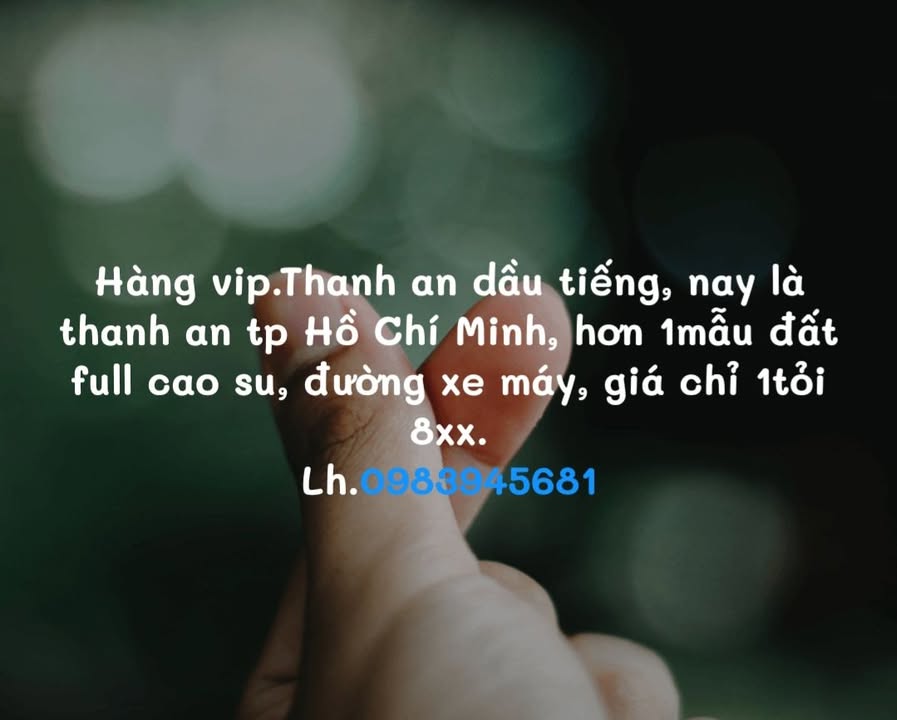 Đất thổ cư Thanh An Dầu Tiếng 10.000m² giá 1.8 tỷ - Cơ hội đầu tư hấp dẫn!