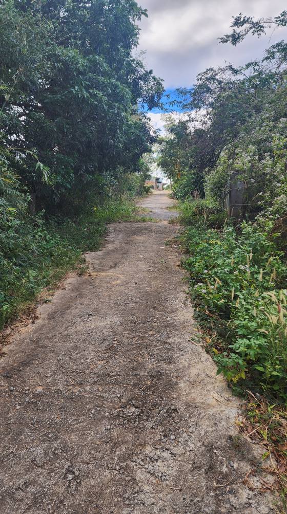 Đất thổ cư 526m² tại xã Đăk Rơ Wa, Kon Tum - Gần bùng binh Cầu Khu Hành Chính!