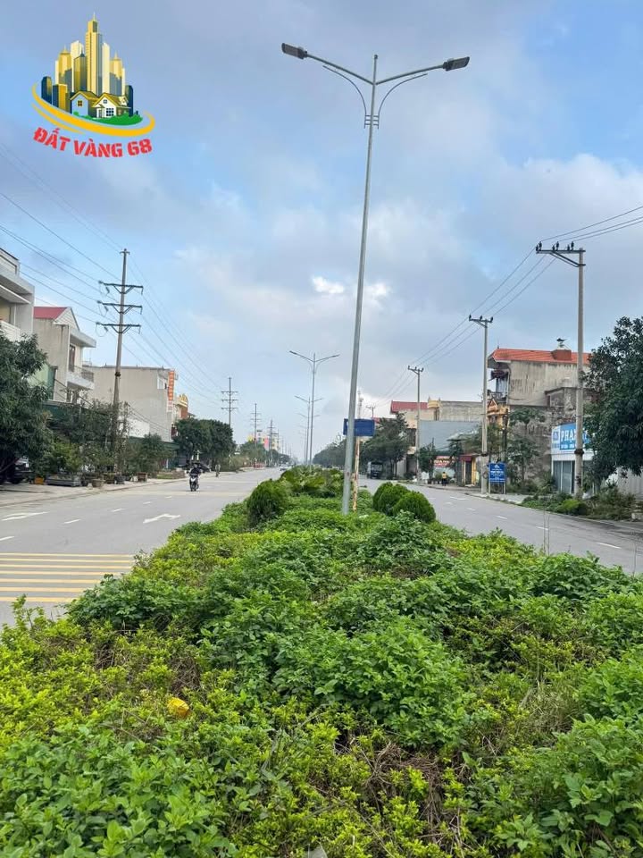 Đất nền đẹp mặt đường Triệu Việt Vương, phường Hoa Lư, 67.5m² - Cơ hội đầu tư hấp dẫn!