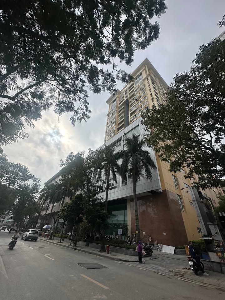 Căn hộ Artex Ngọc Khánh 153m² giá 15.3 tỷ - Chính chủ bán gấp!