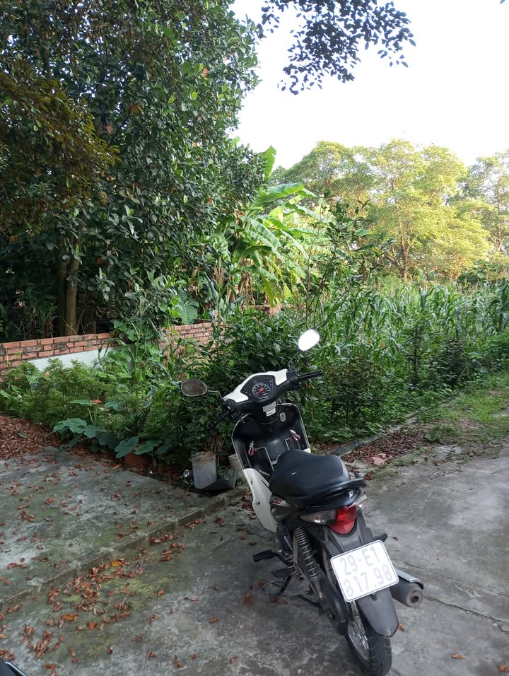 Đất nền Cổ Giang, Lệ Chi 105m² giá chỉ 3 tỷ - Sổ đỏ, giao thông thuận lợi!