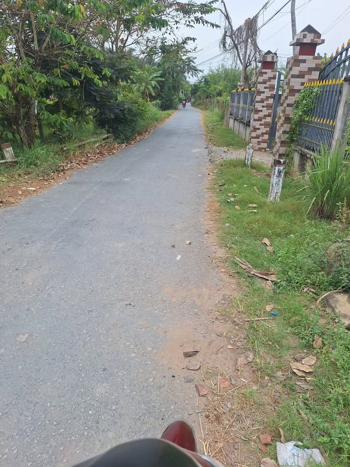 Bán đất vườn dừa ấp 6 An Ngãi Trung 62000m² giá 2.17 tỷ - Đầu tư sinh lời hấp dẫn!