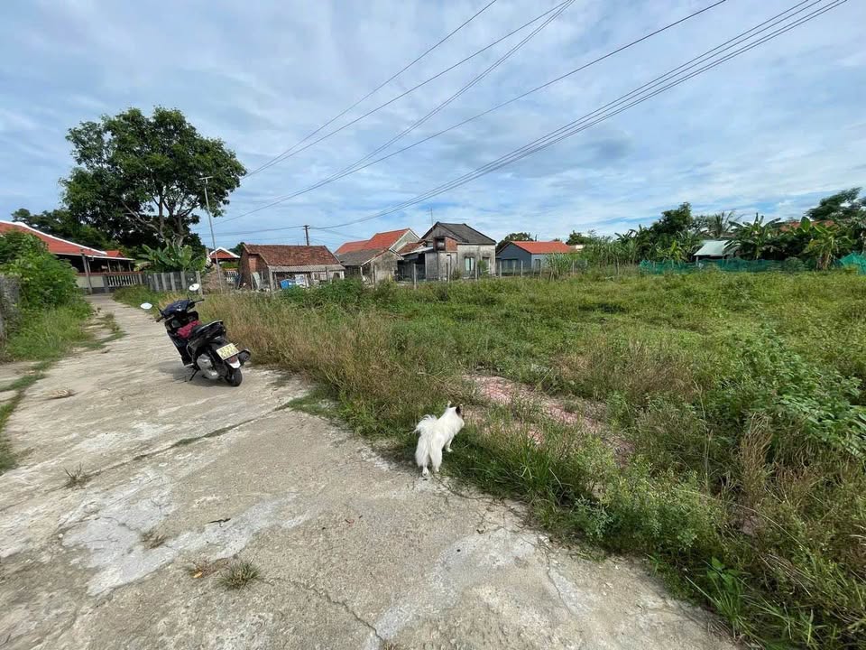 Đất nền lô góc 138.05m² tại Duy Trung chỉ 200 triệu - Cơ hội đầu tư sinh lời!