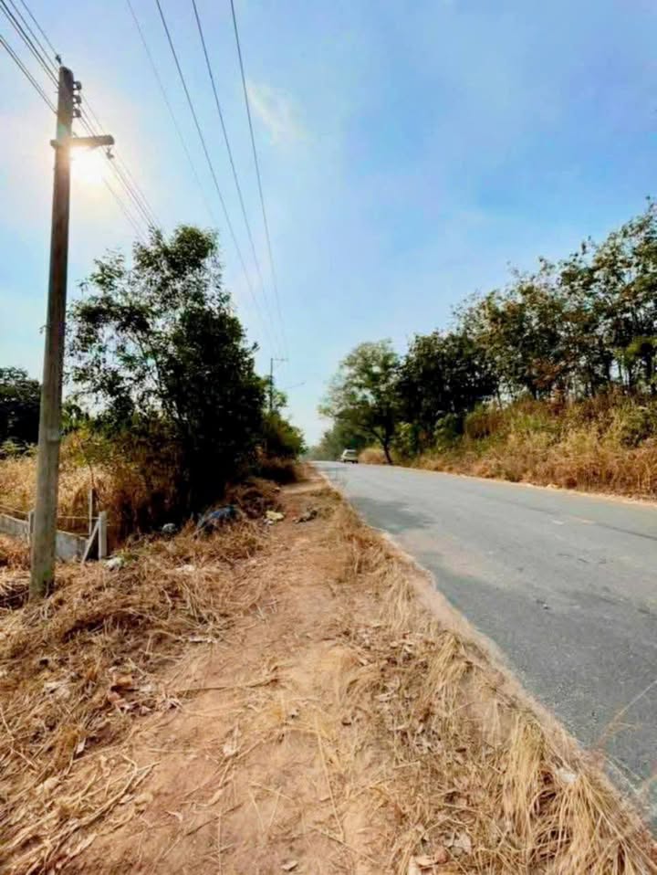 Đất Dầu Tiếng Bình Dương 2000m² giá 2 tỷ - Mặt tiền nhựa 7m, đầu tư sinh lời!