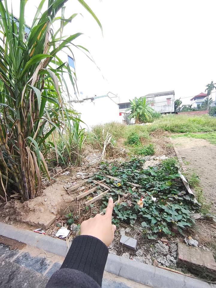 Nhà riêng Đình Trung, Xuân Nộn, Đông Anh 40.4m² giá 2.7 tỷ - Sổ hồng chính chủ ngay!