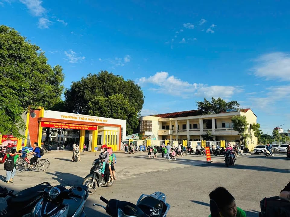 Lô đất Tân Mỹ Avenue 75m² giá 3 tỷ - Đầu tư sinh lời cao!