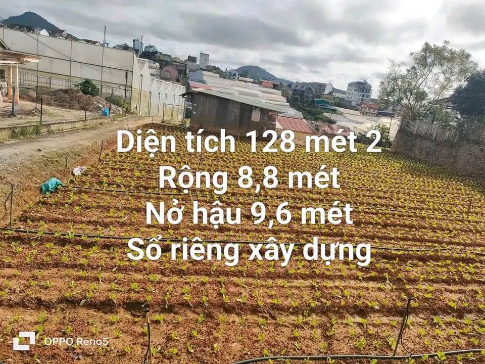 Đất thổ cư 128m² Đường Mai Hắc Đế, Đà Lạt - Hai mặt tiền ô tô, xây dựng tự do!