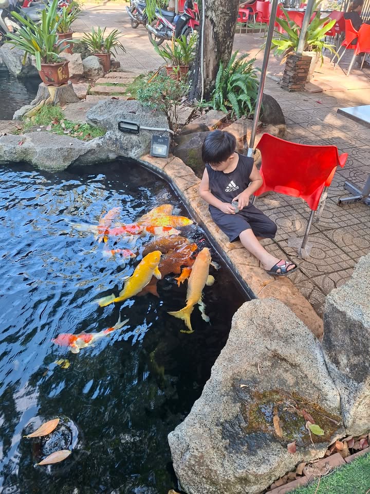 Nhà cấp 4 + 4 phòng trọ cho thuê tại Chơn Thành 600m² giá 2 tỷ - Đầu tư sinh lời ngay!