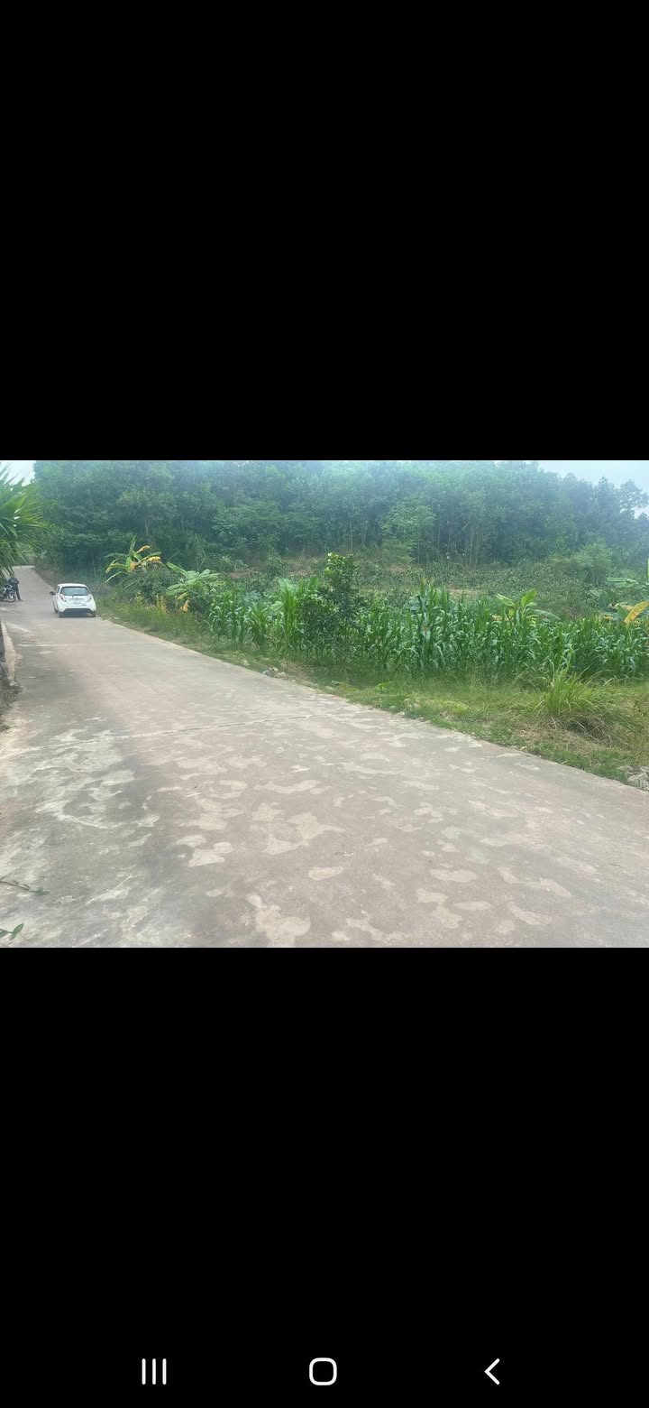 Đất trồng cây 1378m² tại Tân Cương Thái Nguyên - Mặt tiền 40m, giá chỉ 1.516 tỷ!