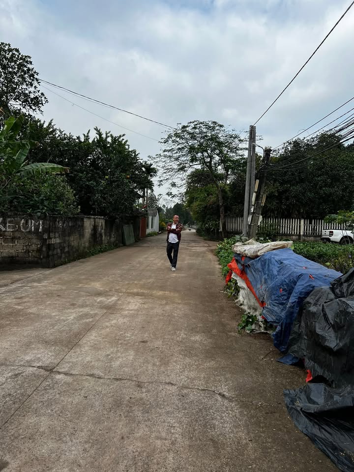 Đất Tân Cương Thái Nguyên 1300m² - Đường ô tô tránh nhau, sổ đỏ chính chủ!