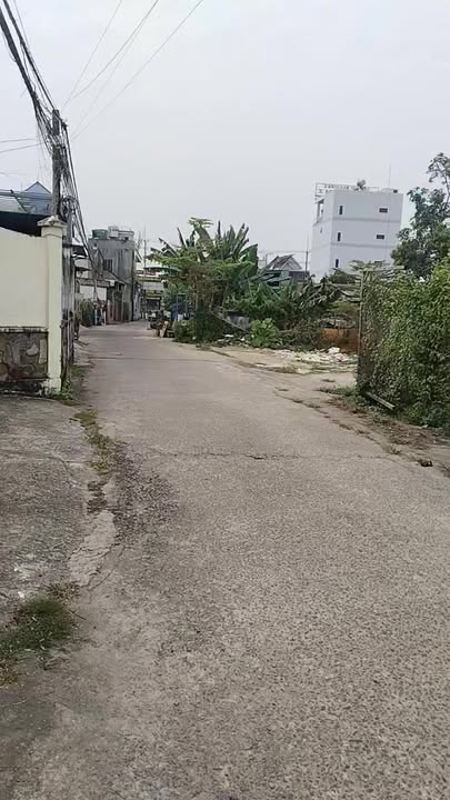 Đất vườn 1.2 sào ấp Bến Cam, Nhơn Trạch - Giá 15 tỷ, vị trí đắc địa!