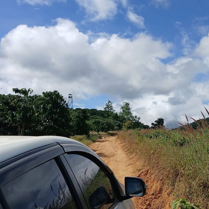 Đất nền 8 sào tại xã Đam Rông 1, Lâm Đồng giá 950 triệu - Phù hợp cho đầu tư và nghỉ dưỡng!