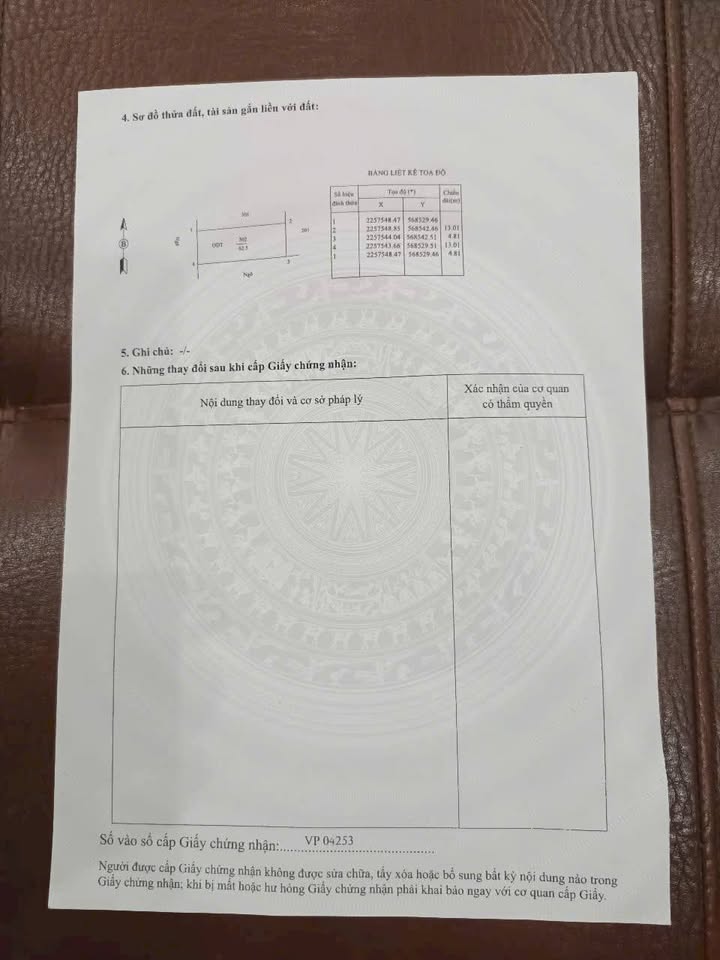 Đất nền Trường Thi - Nam Định 62m² giá 800 triệu - Vị trí đẹp, ô tô đỗ gần nhà!