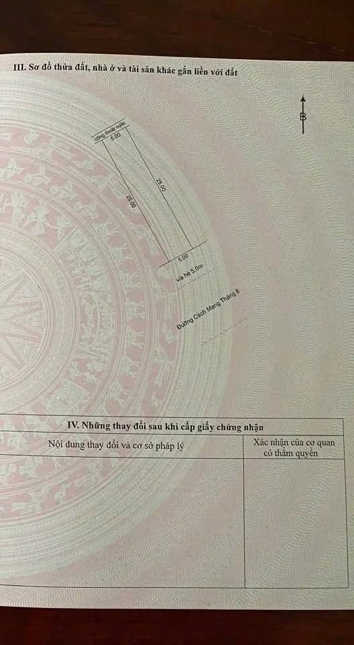 Đất nền liền kề đường Cách Mạng Tháng 8, quận Cẩm Lệ 250m² giá 19.375 tỷ - Cơ hội đầu tư hấp dẫn!