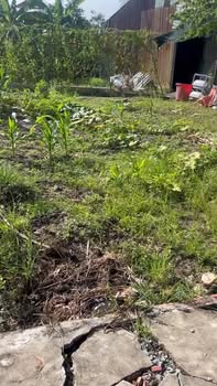 Bán đất 322m² tại Ấp 3, xã Tân Bình, thị xã Cai Lậy - Giá chỉ 1.1 tỷ, cơ hội đầu tư tuyệt vời!