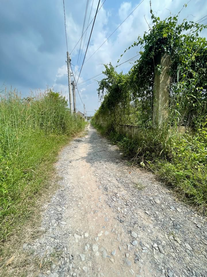 Đất nền An Nhơn Tây, Củ Chi 2880m² giá 7.2 tỷ - Đường ô tô vào tận nơi!