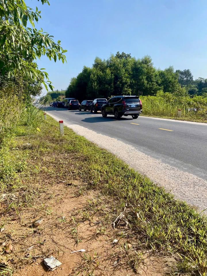 Đất nền Văn Lang, Hạ Hoà, Phú Thọ 196m² - Đầu tư sinh lời bền vững!