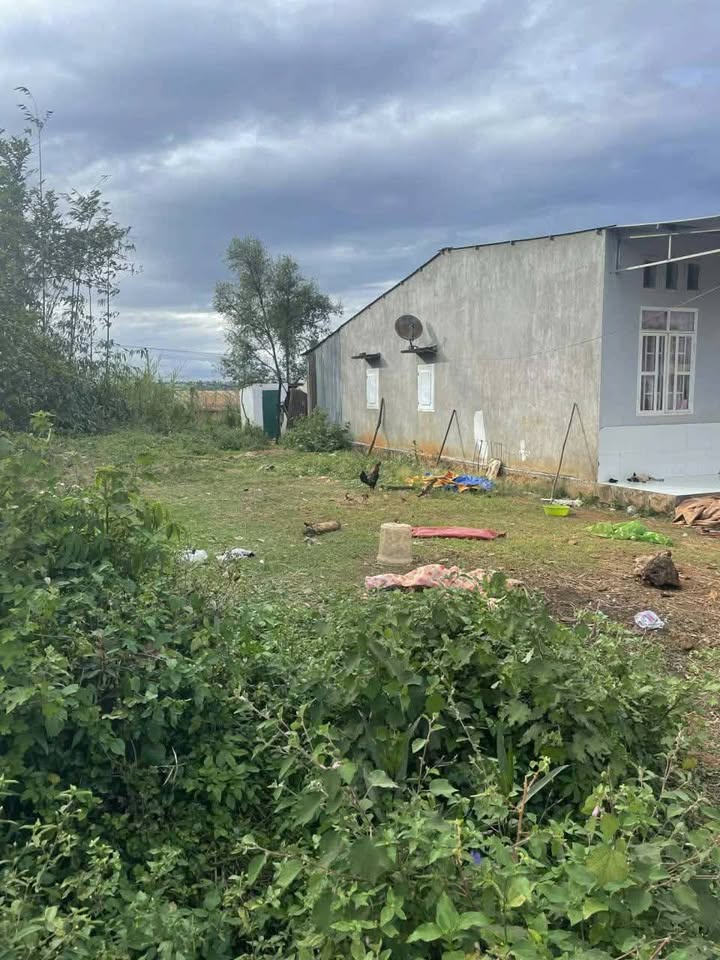 Đất chính chủ hẻm Nguyễn Văn Nghi, An Phú 160m² - Giá thỏa thuận hấp dẫn!